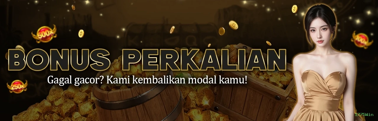 Login 1775Win